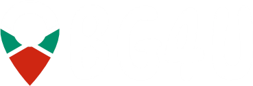 bg4u estate logo